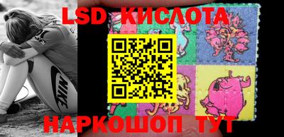 спиды Краснодар