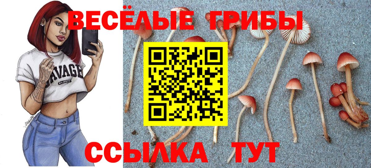 Карпинск  Псилоцибиновые грибы MAGIC MUSHROOMS  Вход с VPN  Псилоцибиновые грибы GOLDEN TEACHER 