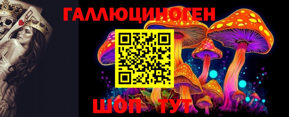 Галлюциногенные грибы GOLDEN TEACHER Карпинск